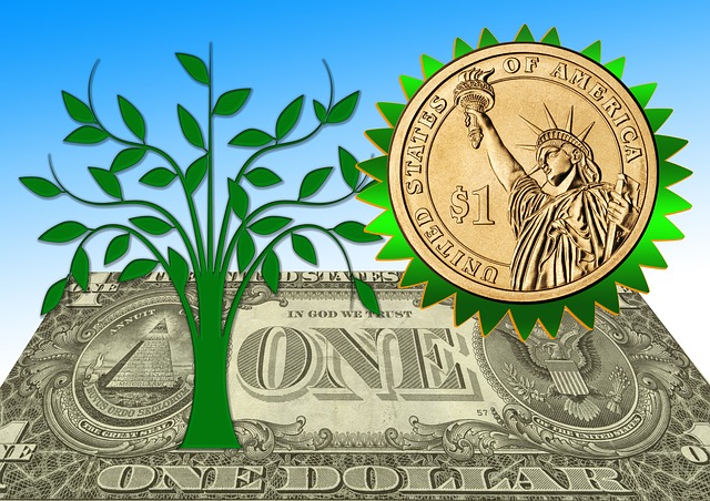 mince, bankovka a zelený strom